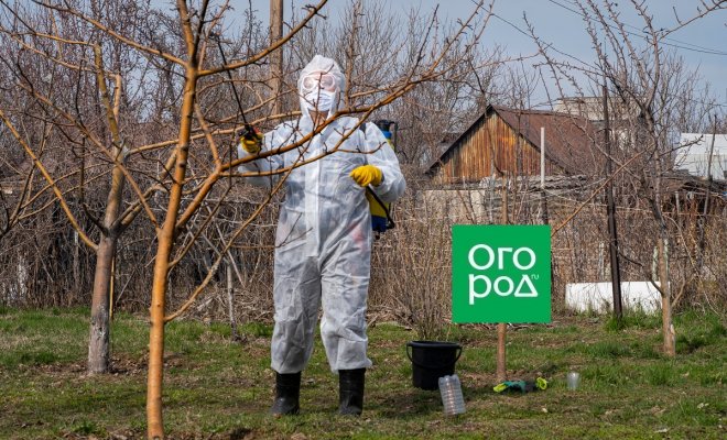 Можно ли смешивать медный и железный купорос для обработки досок